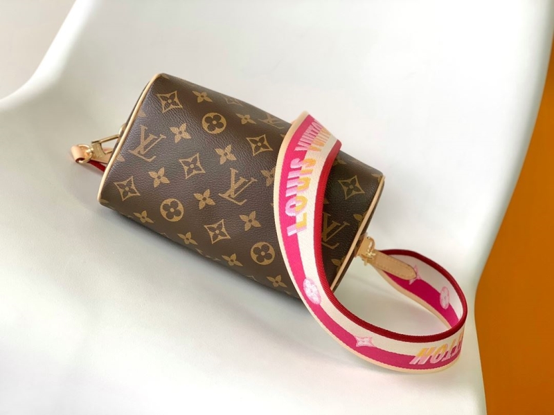 LV Speedy Bags